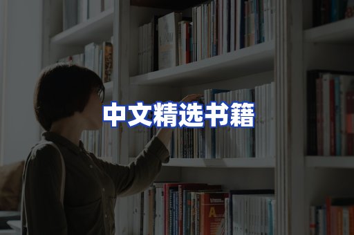 中文精选书籍