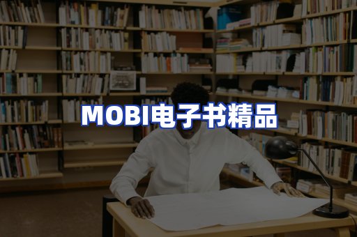 外文电子书产品